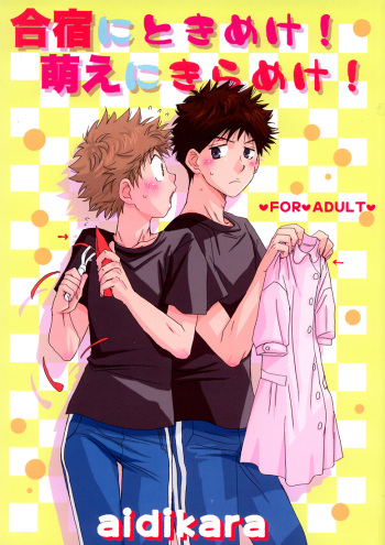 Gasshuku ni Tokimeke! Moe ni Kirameke! cover