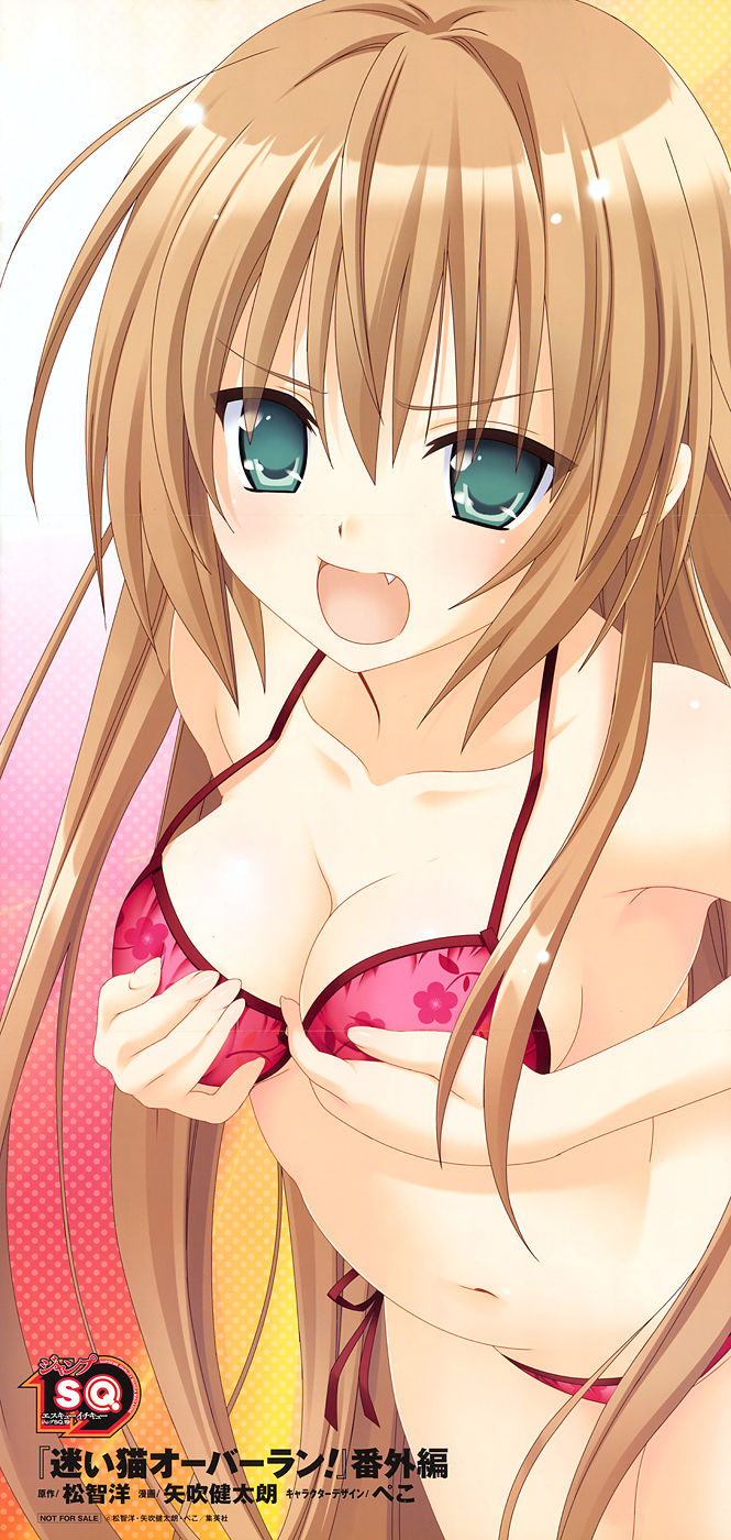 My Mayoi Neko Overrun Gallery page 1 full