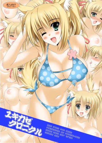 Yukikaze Chronicle cover