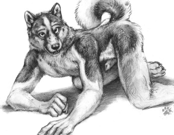 Blotch Scratches 6 cover