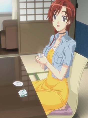 Akina to Onsen de H Shiyo panoramics cover