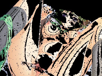 Pussy spreading cover
