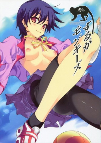 Suruga Monkeys cover