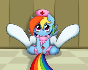 Smittyg's Rainbow Dash folio cover