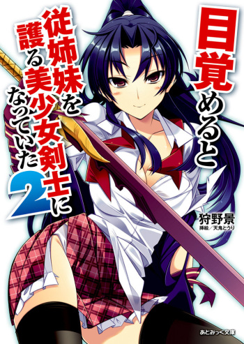 Mezameru to Itoko wo Mamoru Bishoujo Kenshi ni Natteita Vol.2 cover