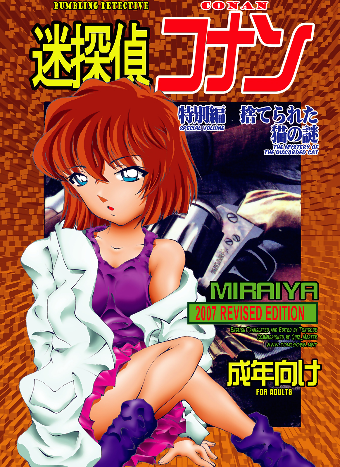 Bumbling Detective Conan - Special Volume: The Mystery Of The Discarded Cat page 1 full