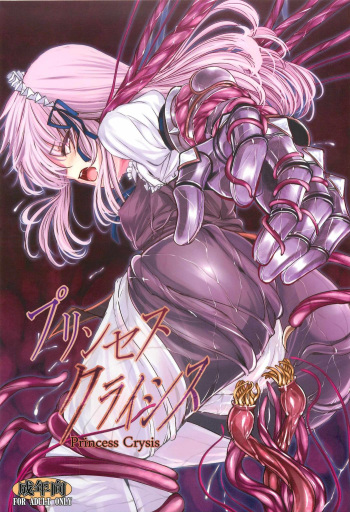 Princess Crisis cover