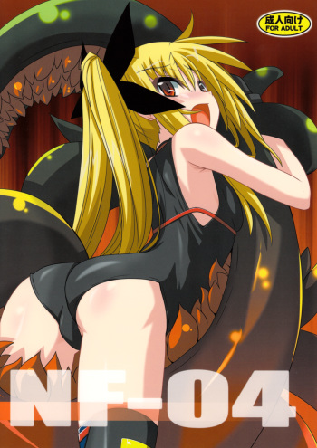 NF-04 cover