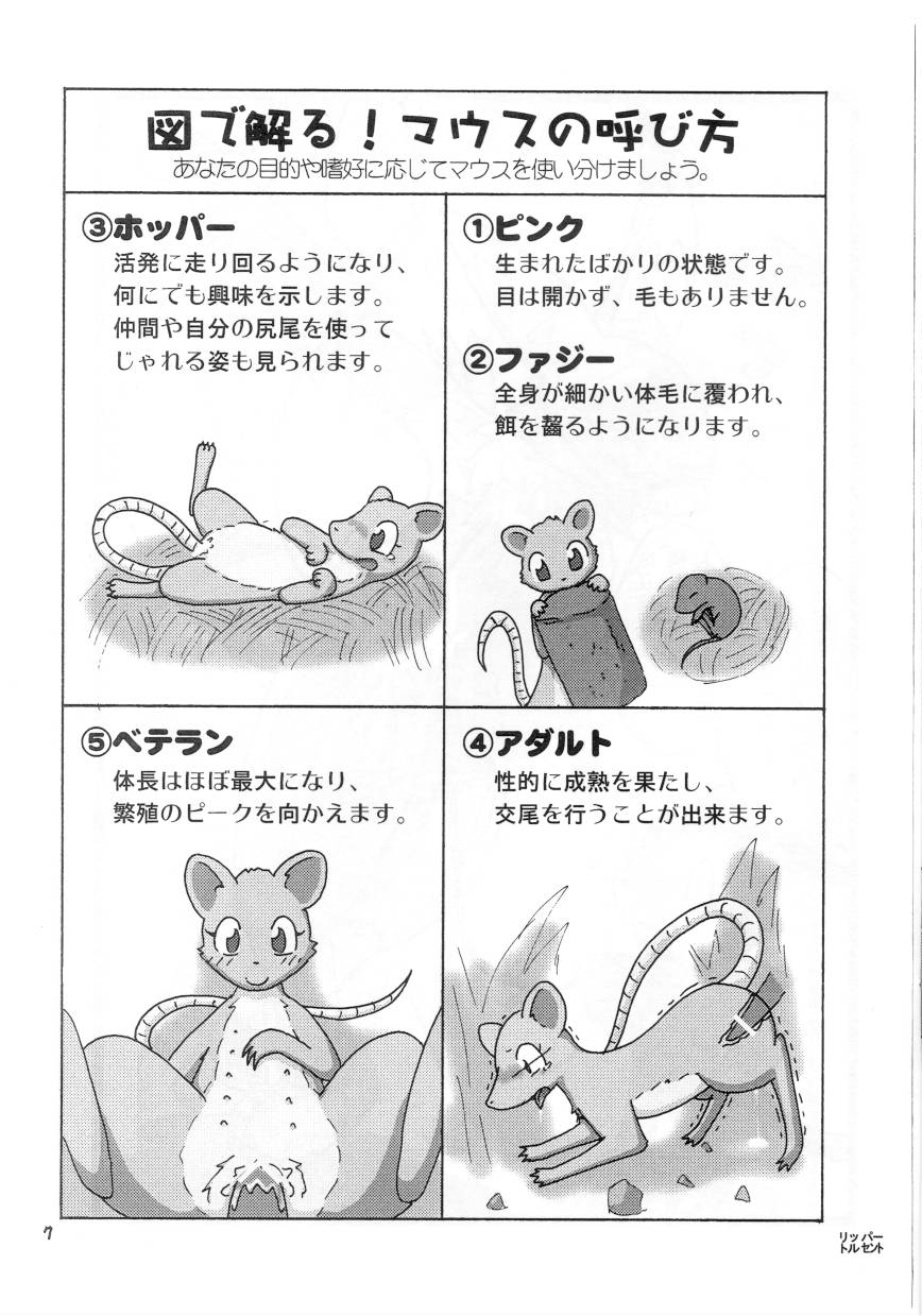 2008 Gashou page 7 full