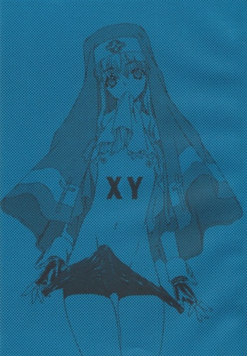 XY cover