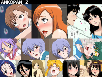Ancopan Z cover