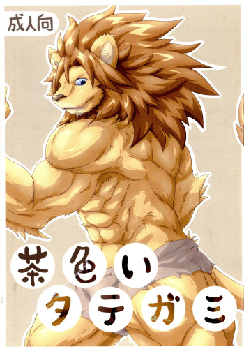 Chairoi Tategami cover
