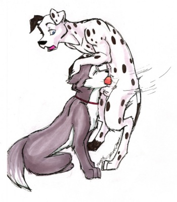 My Yaoi Furry Part 1 cover