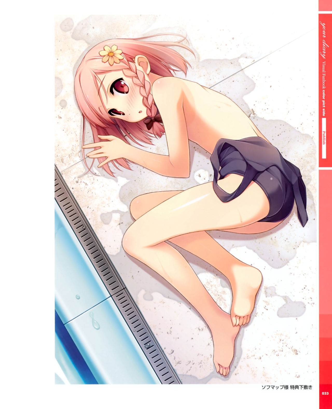 your diary visual fanbook pict side page 9 full