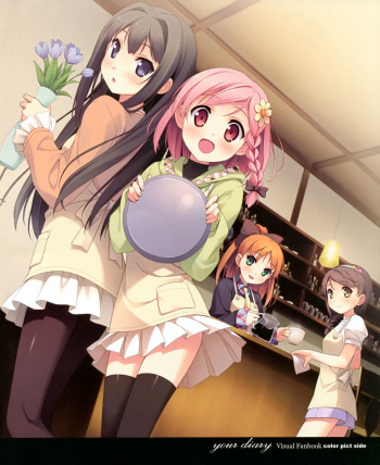 your diary visual fanbook pict side cover
