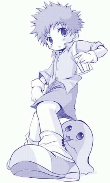 Digital cover