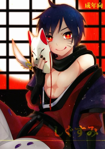 Shigusumi cover