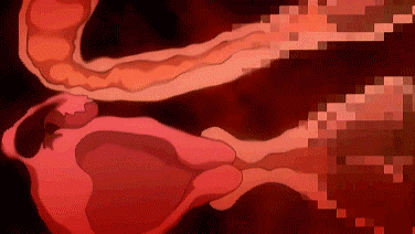 hentai gif collection 3 page 7 full