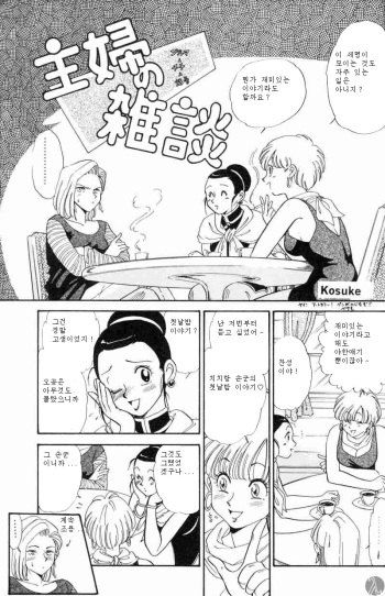 Shufu no Zatsudan cover