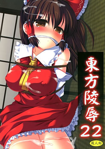 Touhou ryoujoku 22 cover