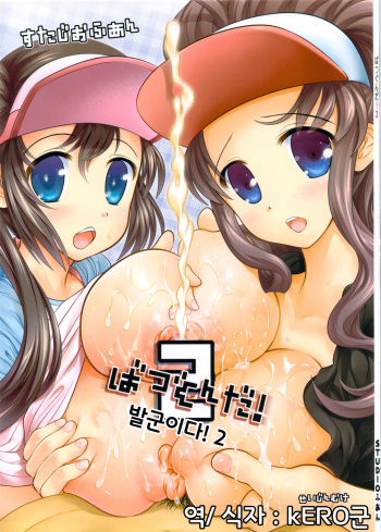 Batsugun da! 2 cover