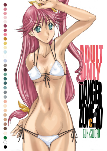 DANGER ZONE 10-C cover