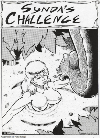Synda's Challenge cover