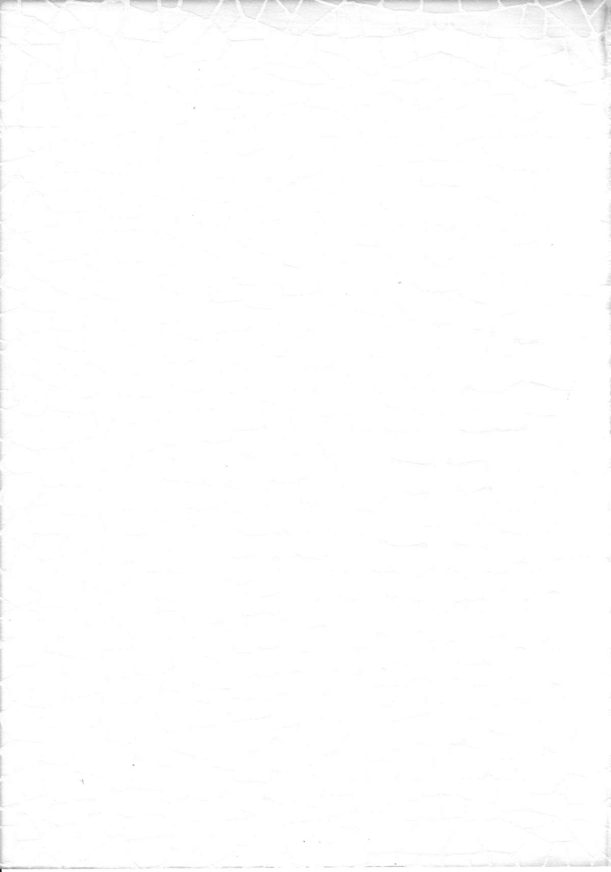 Iperitto Rayearth VX page 2 full