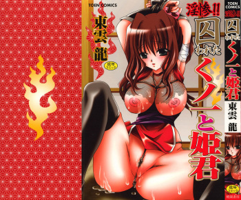 Insan!! Torawareta Kunoichi to Himegimi cover