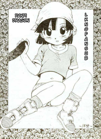 Panpi Dragon cover