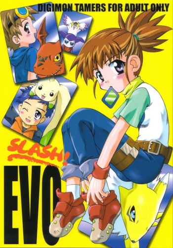 Evolution Slash cover
