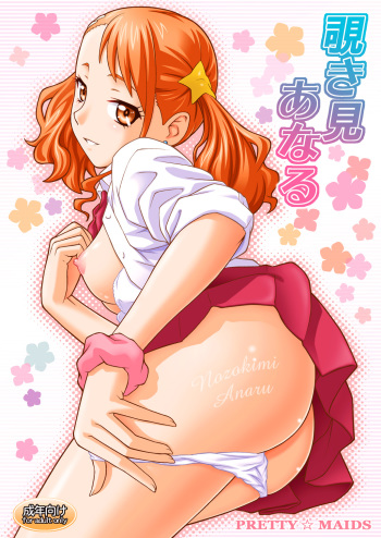 Nozokimi Anaru cover