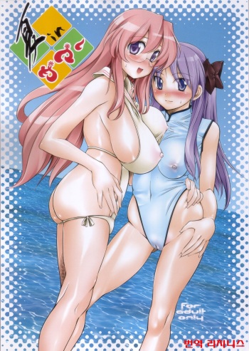 Natsu in Summer cover