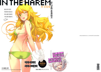 IN THE HAREM A SIDE cover