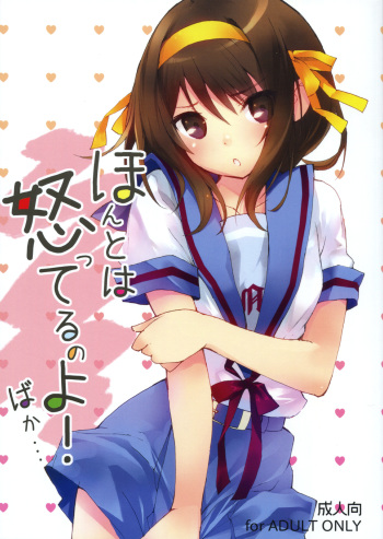 Honto wa Okotteru no yo! Baka... | I Really Am Angry! Idiot... cover