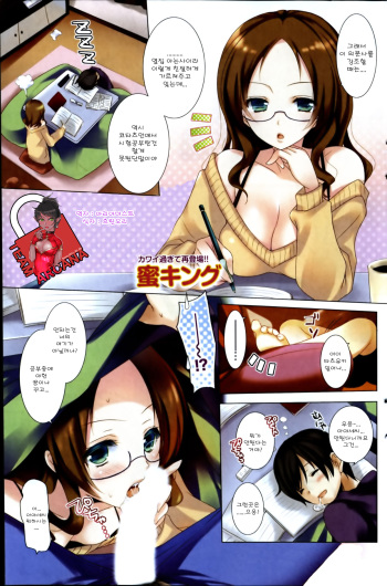 Sekigaisen Lesson - Hot Love Lecture cover