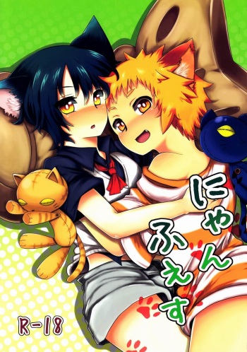 NyanFes cover