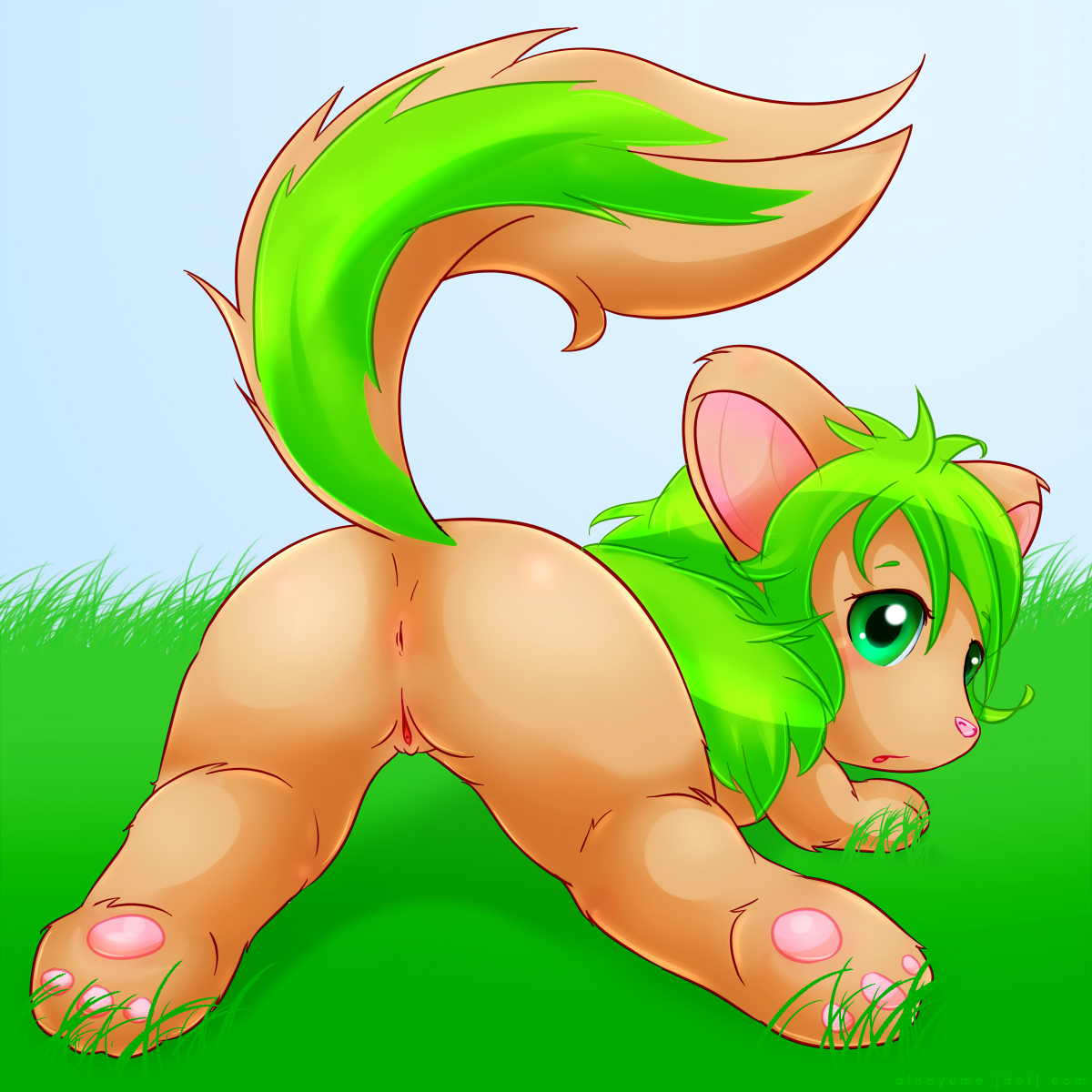 neopets page 8 full