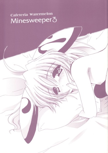 Minesweeper 3 cover