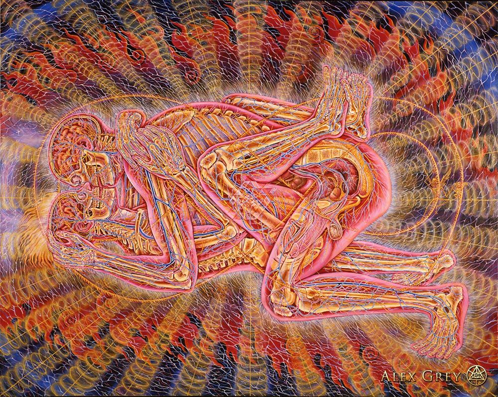 EROTIC ART COLLECTOR 0030 ALEX GREY page 10 full