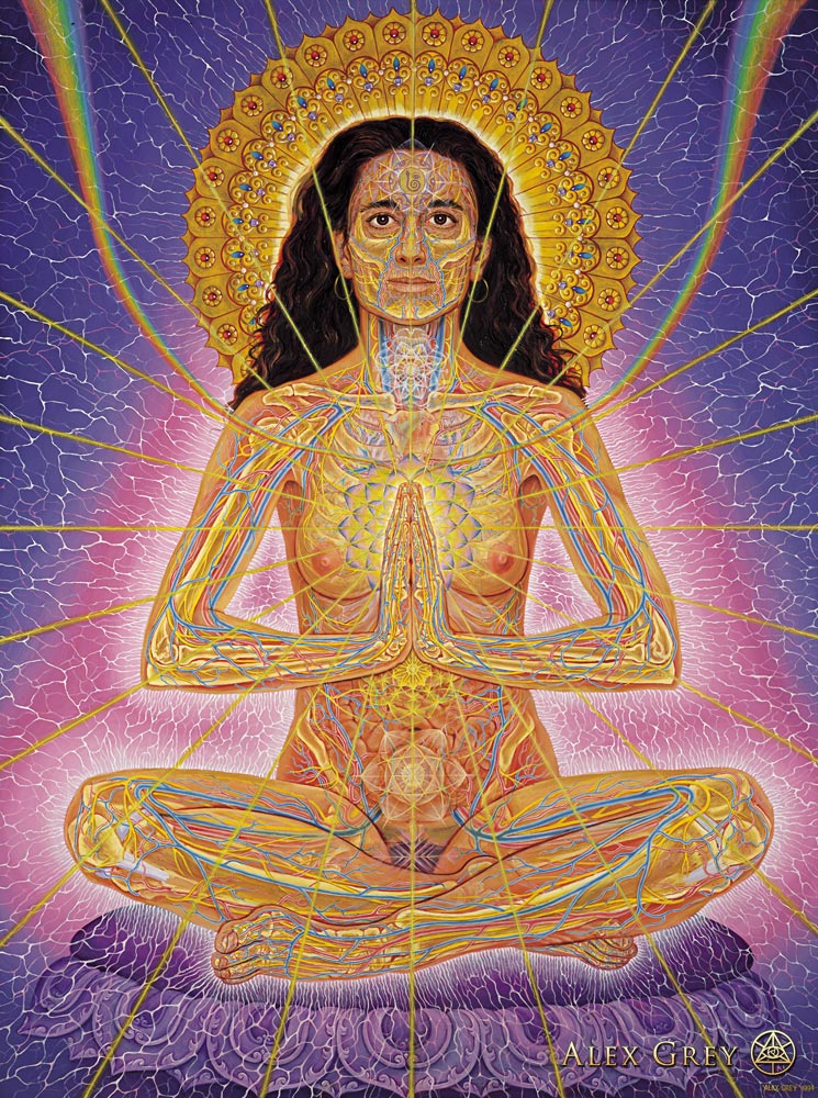 EROTIC ART COLLECTOR 0030 ALEX GREY page 7 full