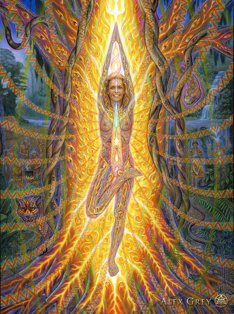 EROTIC ART COLLECTOR 0030 ALEX GREY page 8 full