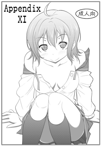 APPENDIX XI cover