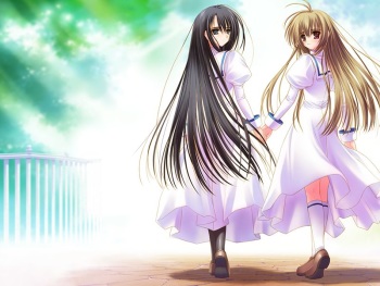 Otome wa Boku ni Koi Shiteru | Otoboku - Maidens Are Falling for Me! cover