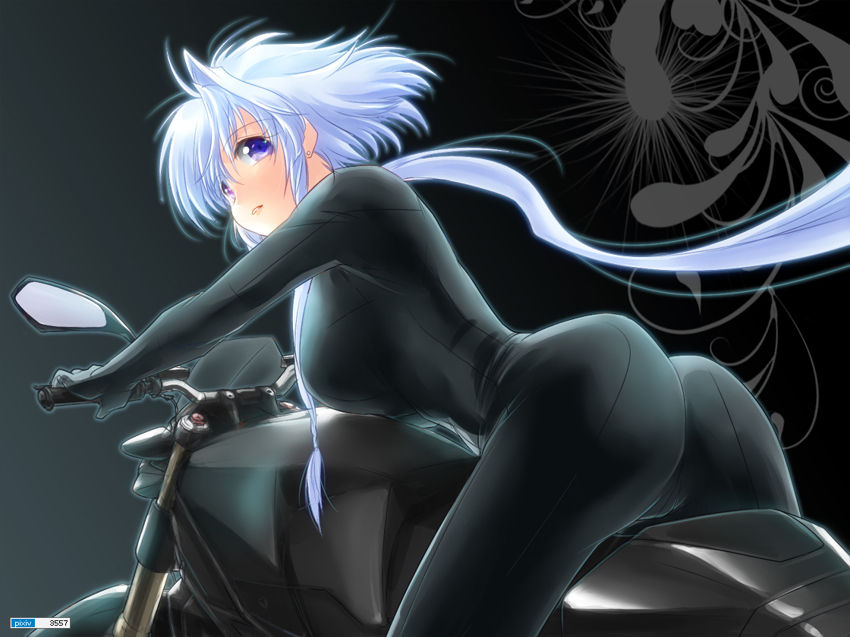 Hotties on Motorcycles page 6 full