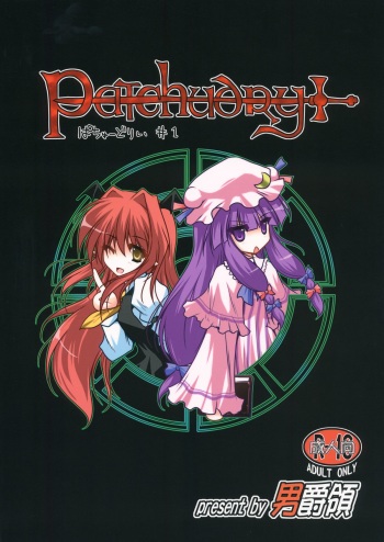 Patchudry cover
