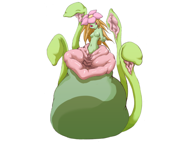 Onna Kishi Cecil no Bouken, Cecil no Bouken ～Scylla Kaikyou～ page 2 full