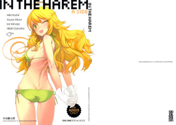 IN THE HAREM A SIDE cover