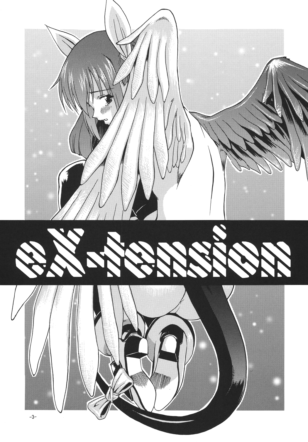 eX-tension page 3 full