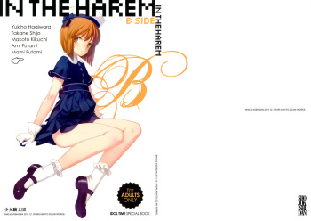IN THE HAREM B SIDE | En el Harem - Parte B cover